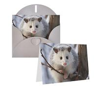 Blank Greetings Card 4'' X 6'' With Envelopes, Opossum In Snow Thank You Cards Note Cards Gray All Occasion Cards For Christmas Holidays Birthday Graduation Anniversaries