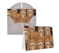 Blank Greetings Card 4'' X 6'' With Envelopes, Orange Cats Thank You Cards Note Cards Gray All Occasion Cards For Christmas Holidays Birthday Graduation Anniversaries