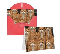 Blank Greetings Card 4'' X 6'' With Envelopes, Orange Cats Thank You Cards Note Cards Red All Occasion Cards For Christmas Holidays Birthday Graduation Anniversaries