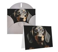 Blank Greetings Card 4'' X 6'' With Envelopes, Pad Dachshund Thank You Cards Note Cards Gray All Occasion Cards For Christmas Holidays Birthday Graduation Anniversaries