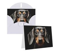 Blank Greetings Card 4'' X 6'' With Envelopes, Pad Dachshund Thank You Cards Note Cards White All Occasion Cards For Christmas Holidays Birthday Graduation Anniversaries