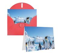 Blank Greetings Card 4'' X 6'' With Envelopes, Penguin Antarctica Ice Thank You Cards Note Cards Red All Occasion Cards For Christmas Holidays Birthday Graduation Anniversaries