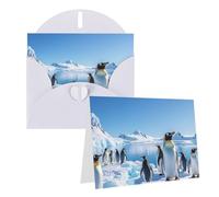 Blank Greetings Card 4'' X 6'' With Envelopes, Penguin Antarctica Ice Thank You Cards Note Cards White All Occasion Cards For Christmas Holidays Birthday Graduation Anniversaries