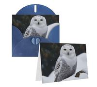 Blank Greetings Card 4'' X 6'' With Envelopes, Snow Owl Thank You Cards Note Cards Blue All Occasion Cards For Christmas Holidays Birthday Graduation Anniversaries