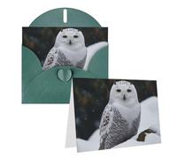 Blank Greetings Card 4'' X 6'' With Envelopes, Snow Owl Thank You Cards Note Cards Dark Green All Occasion Cards For Christmas Holidays Birthday Graduation Anniversaries