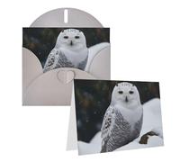 Blank Greetings Card 4'' X 6'' With Envelopes, Snow Owl Thank You Cards Note Cards Gray All Occasion Cards For Christmas Holidays Birthday Graduation Anniversaries