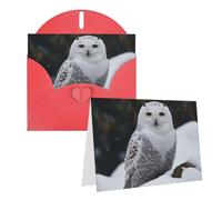 Blank Greetings Card 4'' X 6'' With Envelopes, Snow Owl Thank You Cards Note Cards Red All Occasion Cards For Christmas Holidays Birthday Graduation Anniversaries