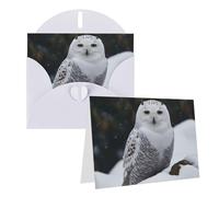Blank Greetings Card 4'' X 6'' With Envelopes, Snow Owl Thank You Cards Note Cards White All Occasion Cards For Christmas Holidays Birthday Graduation Anniversaries