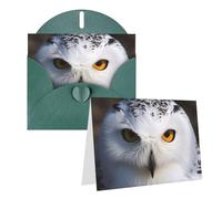 Blank Greetings Card 4'' X 6'' With Envelopes, Snowy Owl Eyes Thank You Cards Note Cards Dark Green All Occasion Cards For Christmas Holidays Birthday Graduation Anniversaries