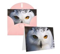 Blank Greetings Card 4'' X 6'' With Envelopes, Snowy Owl Eyes Thank You Cards Note Cards Pink All Occasion Cards For Christmas Holidays Birthday Graduation Anniversaries