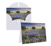 Blank Greetings Card 4'' X 6'' With Envelopes, Texas Bluebonnets Scenery Thank You Cards Note Cards White All Occasion Cards For Christmas Holidays Birthday Graduation Anniversaries