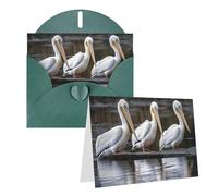 Blank Greetings Card 4'' X 6'' With Envelopes, Three Pelicans Thank You Cards Note Cards Dark Green All Occasion Cards For Christmas Holidays Birthday Graduation Anniversaries