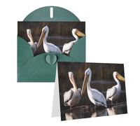 Blank Greetings Card 4'' X 6'' With Envelopes, Three Pelicans Thank You Cards Note Cards Dark Green All Occasion Cards For Christmas Holidays Birthday Graduation Anniversaries