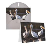 Blank Greetings Card 4'' X 6'' With Envelopes, Three Pelicans Thank You Cards Note Cards Gray All Occasion Cards For Christmas Holidays Birthday Graduation Anniversaries