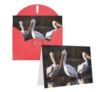 Blank Greetings Card 4'' X 6'' With Envelopes, Three Pelicans Thank You Cards Note Cards Red All Occasion Cards For Christmas Holidays Birthday Graduation Anniversaries