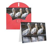 Blank Greetings Card 4'' X 6'' With Envelopes, Three Pelicans Thank You Cards Note Cards Red All Occasion Cards For Christmas Holidays Birthday Graduation Anniversaries