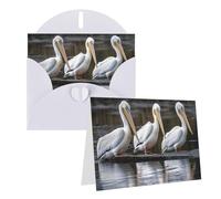 Blank Greetings Card 4'' X 6'' With Envelopes, Three Pelicans Thank You Cards Note Cards White All Occasion Cards For Christmas Holidays Birthday Graduation Anniversaries