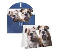 Blank Greetings Card 4'' X 6'' With Envelopes, Two Cute Bulldog Dogs Thank You Cards Note Cards Blue All Occasion Cards For Christmas Holidays Birthday Graduation Anniversaries