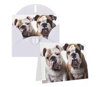 Blank Greetings Card 4'' X 6'' With Envelopes, Two Cute Bulldog Dogs Thank You Cards Note Cards White All Occasion Cards For Christmas Holidays Birthday Graduation Anniversaries