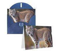 Blank Greetings Card 4'' X 6'' With Envelopes, Wild Bobcat Thank You Cards Note Cards Blue All Occasion Cards For Christmas Holidays Birthday Graduation Anniversaries