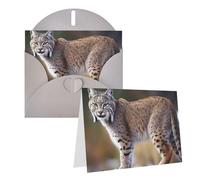 Blank Greetings Card 4'' X 6'' With Envelopes, Wild Bobcat Thank You Cards Note Cards Gray All Occasion Cards For Christmas Holidays Birthday Graduation Anniversaries