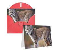 Blank Greetings Card 4'' X 6'' With Envelopes, Wild Bobcat Thank You Cards Note Cards Red All Occasion Cards For Christmas Holidays Birthday Graduation Anniversaries