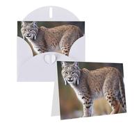 Blank Greetings Card 4'' X 6'' With Envelopes, Wild Bobcat Thank You Cards Note Cards White All Occasion Cards For Christmas Holidays Birthday Graduation Anniversaries
