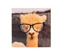 Blank Greetings Card - Quirky Greetings Card with Llama - Funny Greetings Card - Perfect for A Variety of Occasions - Birthday Gift Card