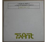 Blank & Jones - Sound of Machines/DJ Cult [12" VINYL]