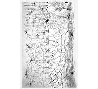 Blank Journal 120 pages Santiago Ramon y Cajal: Minimalist