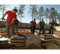 Blank Slate Backyard