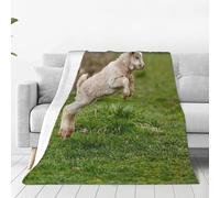 Blanket And Throws Cute Baby Goat Blankets For Bed Warm Throw Super Soft Flannel Throws For Camping Bedroom Sleepovers 125X150Cm