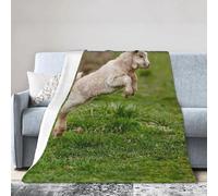 Blanket And Throws Cute Baby Goat Flannel Throws Cosy Blankets For Bed Fluffy Blankets For Bedroom Sleepovers Camping 125X150Cm