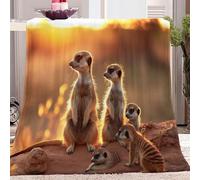 Blanket Animals Meerkats At SunsetColorful, Versatile Printed Flannel Blanket Fluffy Soft Warm for Sofa and Bed Blankets Fit All Season, Double 71" x 79"(180 x 200 cm)