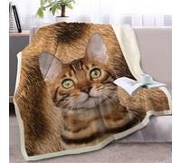 Blanket Cute Cat Print Soft Fluffy Fleece Throw Blanket for Beds Sofa Car Thick Flannel And Lamb Wool Fleece Throws Sherpa Lightweight All Season 180x220cm