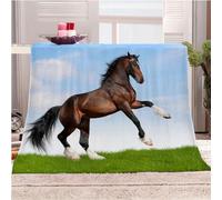 Blanket For Bed Double Winter 3D Animal Horse Bed 70x78inch Sherpa Sofa Couch For Kids Adults Print Couch Fleece Throw Decorative