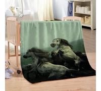 Blanket For Bed Single 3D Animal And Horse Creativity Flannel Warm Print Sherpa Kids Boys Adults 59x78inch Pattern Fleece Throw Soft Fuzzy Bed Couch