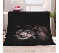 Blanket For Bed Single 3D Animal Lion Print Flannel Warm Print Sherpa Kids Boys Adults 59x78inch Pattern Fleece Throw Soft Fuzzy Bed Couch