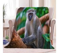 Blanket Lightweight Decorative 39 × 52 inch, Soft Warm Cosy Dark Gray Flannel Throw Blanket for Bed Picnic Chairs and Travel - Baby Size Nature Animal Monkey Throws for Sofa