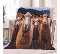 Blanket Lightweight Decorative 51 × 60 inch, Soft Warm Cosy Earth Brown Flannel Throw Blanket for Bed Picnic Chairs and Travel - Small Single Size Nature Animal Sheep Throws for Sofa
