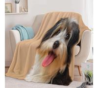 Blanket Lightweight Decorative 87 × 95 inch, Soft Warm Cosy Cream Flannel Throw Blanket for Bed Picnic Chairs and Travel - Super King Size Nature Animals Havanese Dog Throws for Sofa