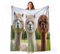 Blanket Natural Alpaca, Soft Fleece Flannel Throw Super King Size Lightweight Cute Comfy Warm, White Blankets for Kids Teens Couch Sofa Bed Office 200 x 220 cm