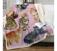 Blanket Pink Gray Cat Soft Fluffy Fleece Throw Blanket for Beds Sofa Car Thick Flannel And Lamb Wool Fleece Throws Sherpa Lightweight All Season 80x150cm