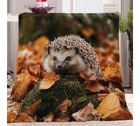 Blanket Print Nature Animals Hedgehog Sherpa Fleece Throw Blanket for Kids Boys Adults Gifts 130 x 150 cm Thick Warm Soft Cozy Flannel Printed Blanket for Sofa Couch Bed Brown