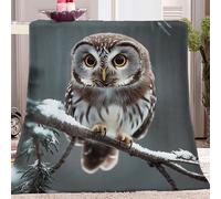 Blanket Throw Teen Colorful Printed Sherpa Fleece Blankets Throws 150 x 200 cm Ultra Soft Cute Big-Eyed Owl Fuzzy Blanket - Easy Care Bed Sofa Room Decor Blanket Double