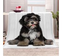 Blanket Throw Tibetan Terrier 3D Dog Animal Printed Cozy Plush Flannel Fleece Blanket Microfiber Super Warm Lightweight Soft For Girls Boy Kids Adults Winter Throw Blanket 150x200cm