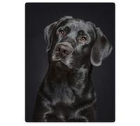 Blankets Black Dog Gorgeous Labrador Stunning Photo Bed Throw Blanket Warm Bed Blanket Personalised Sleeping Blanket For Adults, Bed, Couch 50x40in