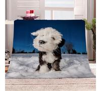 Blankets For Adults 3D Pet Dog Winter Snow Scenery Sherpa Blanket 51x59inch Personalised Printed Fleece Kids Adults Soft Fuzzy Push Holiday Bed Couch, Soft Cozy