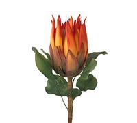 Blanketswarm King Protea Flowers Artificial,Real Touch Silk Protea Bouquet Tropical Silk Tall Flower Arrangements Artificial Flowers Centerpieces for Tables Wedding Bridal Bouquet Home Decor(Orange)