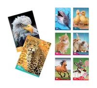 Blasetti - 6 Maxi Learning Notebooks with One Colour Pattern. 100 g paper, 72 sides + flap, Jolly Page, ideal for dysgraphy, pack containing assorted colours - Squares (0Q)